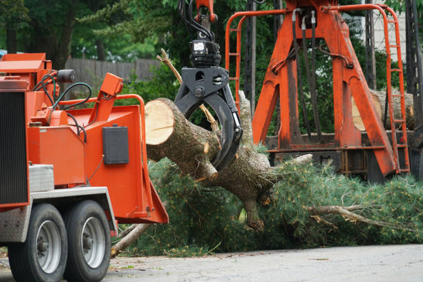 Best Lawn Watering Services  in Apple Creek, OH